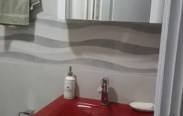 Kompletno završena adaptacija: sanitarije, detalj