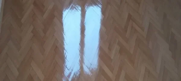 Parket Riblja kost (Herringbone) - visoki sjaj